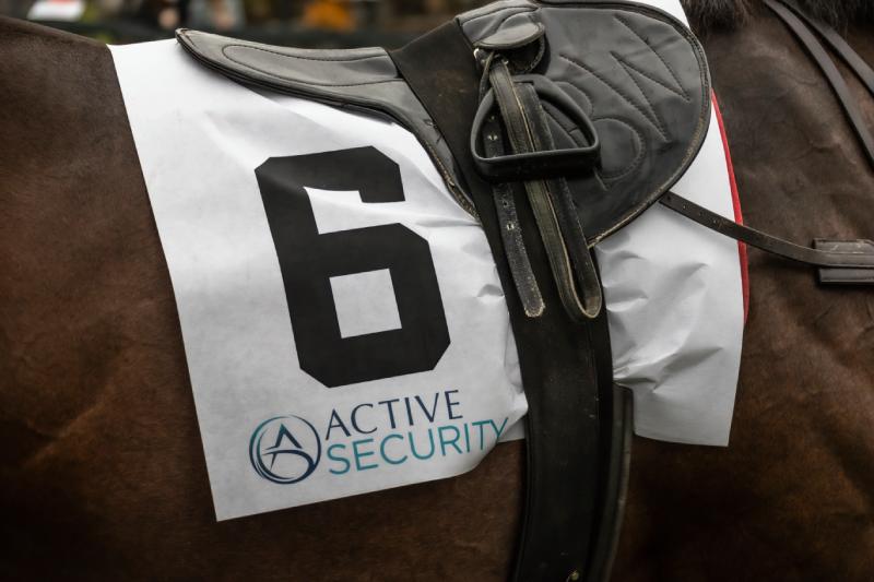 racing silk closeup of number 6 horse with saddle, no jockey