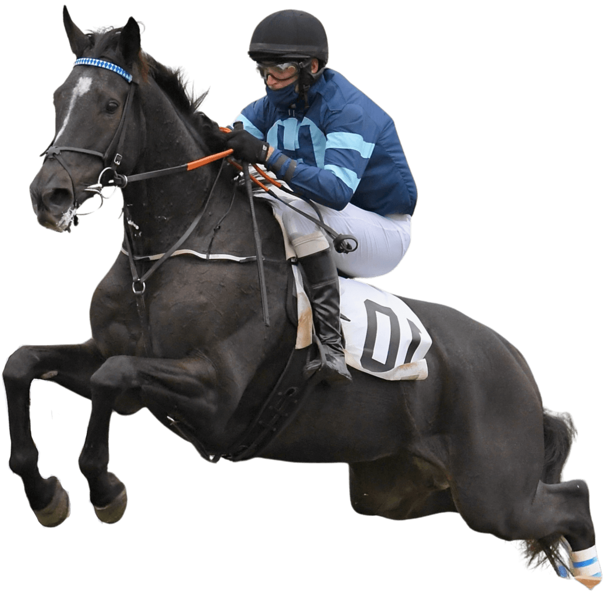 horse and jockey jumping over fence