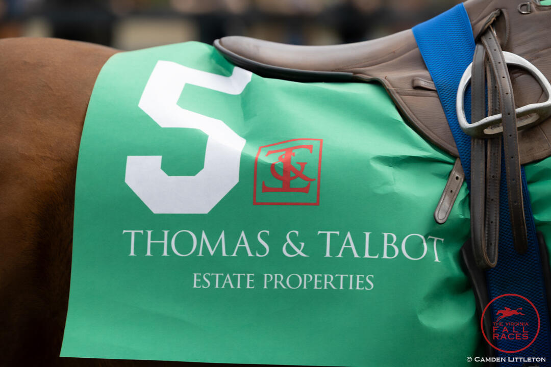 Green saddle pad with number 5 and Thomas & Talbot