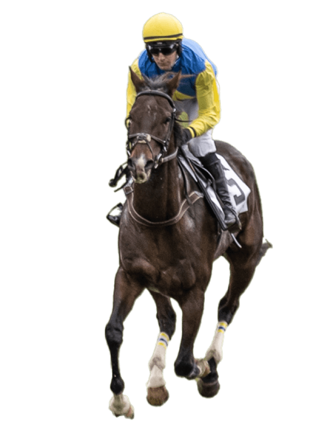 jockey in yellow and blue silks on horse coming toward you, cutout background