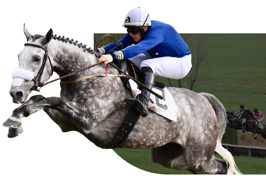 jockey in green silks on chestnut horse jumping, cutout background