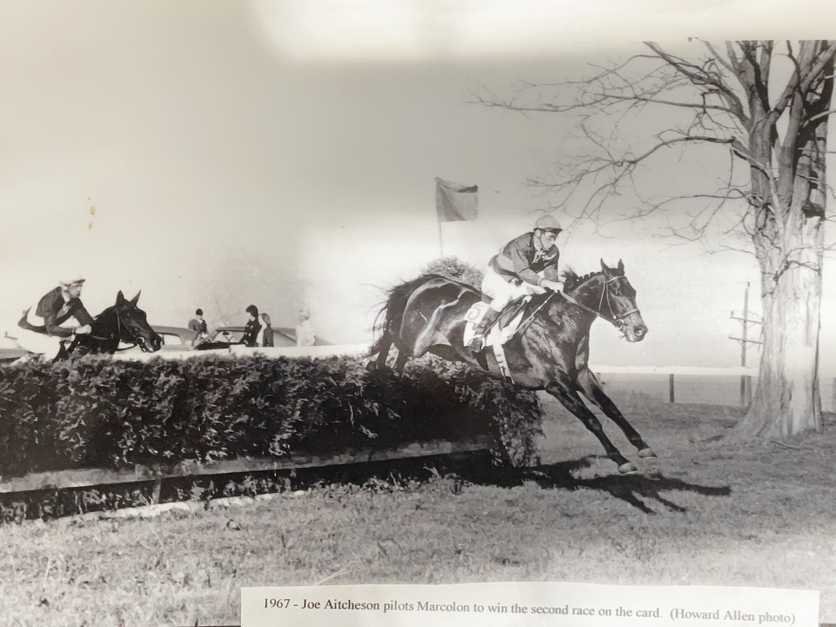 black and white photo of jockey on horse over brush