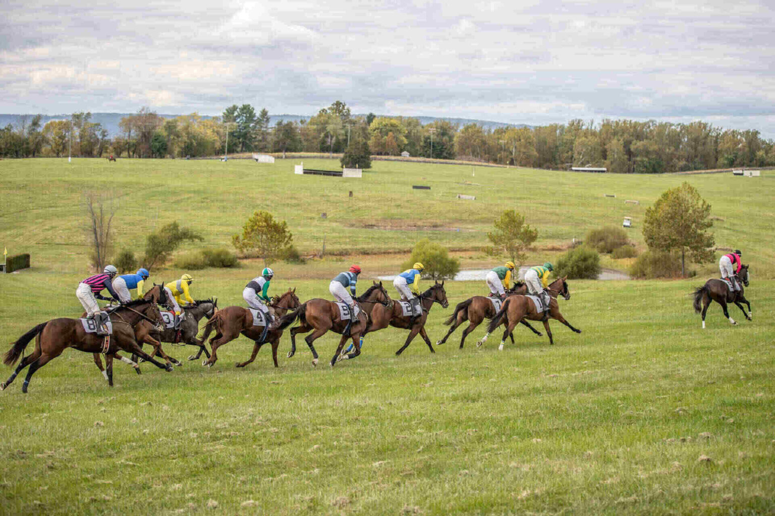 Reach 10,000+ Enthusiasts: Advertise at Virginia Fall Races